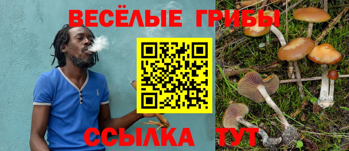 Галлюциногенные грибы мицелий  Псилоцибиновые грибы мицелий  хочу наркоту  Вход с VPN  Калач-на-Дону 