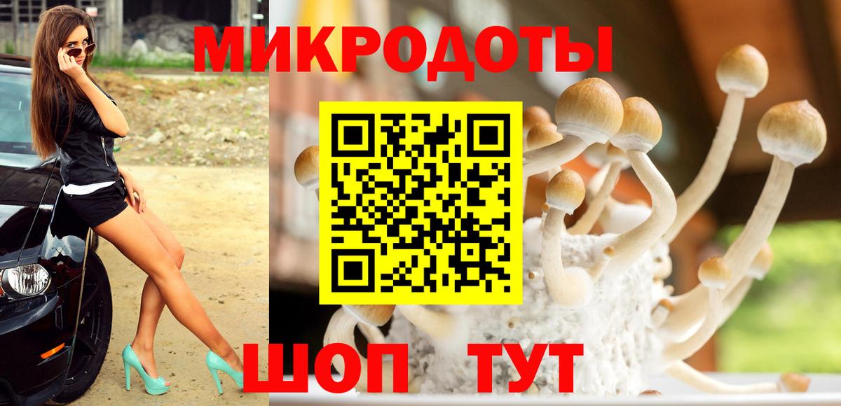 Галлюциногенные грибы GOLDEN TEACHER Калач-на-Дону